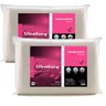 Kit 2 Travesseiros Altenburg Viscoelástico Nasa Macio 46x66
